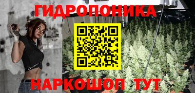 твердый Заводоуковск