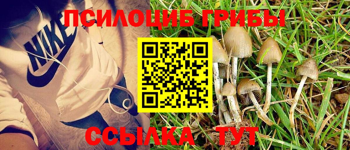 Псилоцибиновые грибы ЛСД Беслан
