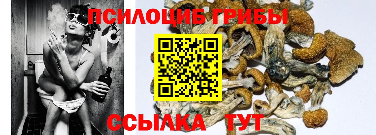 Беслан  Галлюциногенные грибы Magic Shrooms  Вход с VPN 